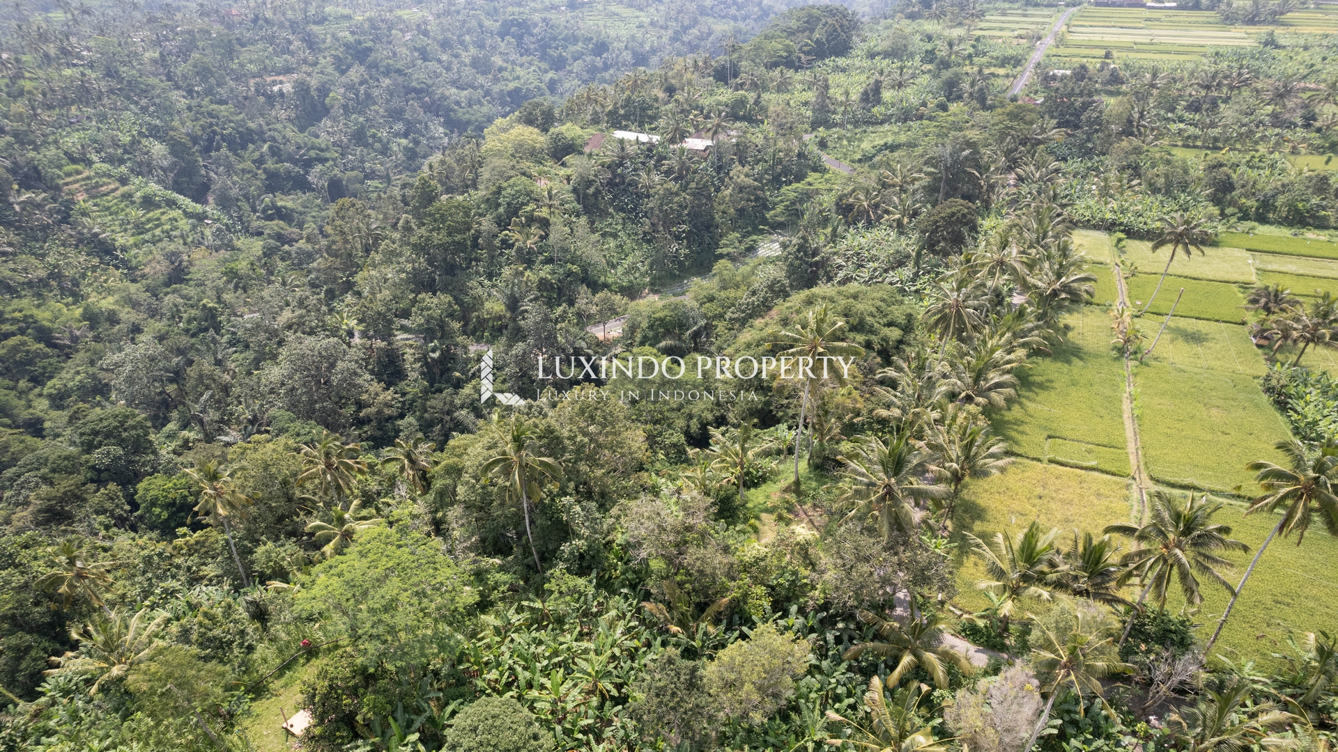 PAYANGAN – 4,418 M2 FREEHOLD LAND WITH GOOD POTENTIAL (FHL358)